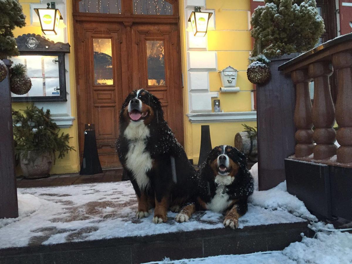 Hotel Gasthof Post Fusch an der Glocknerstraße Exterior foto